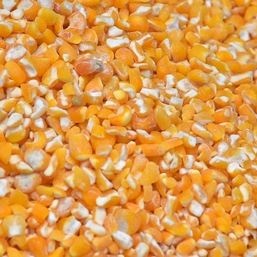 Corn