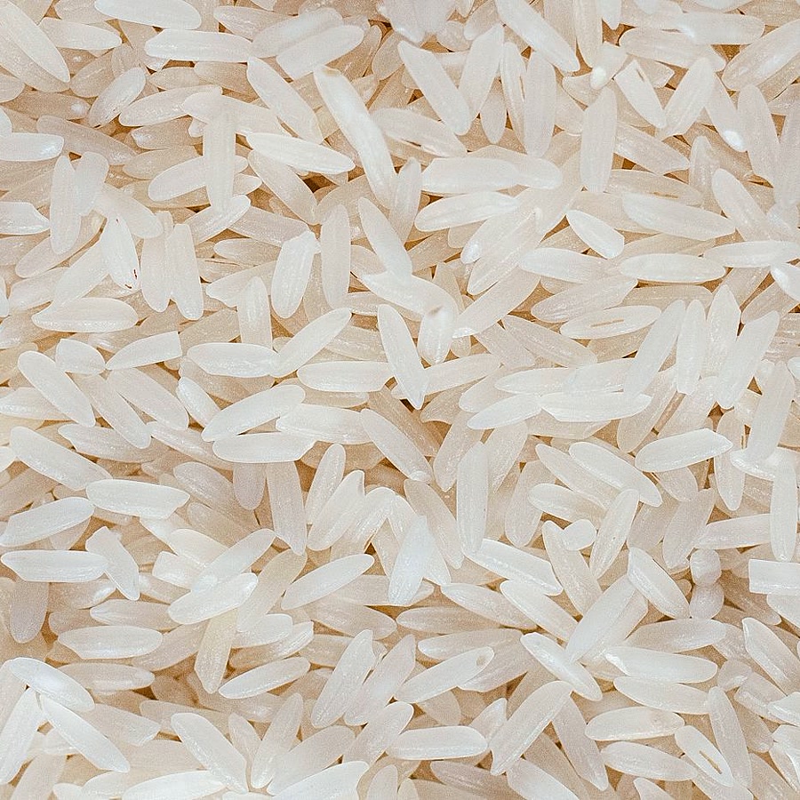 Rice