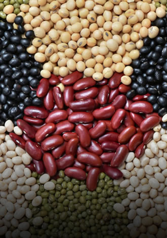 Legumes